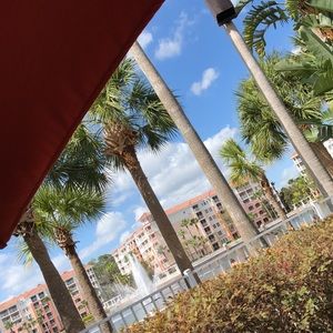 Meet your Posher, Carter